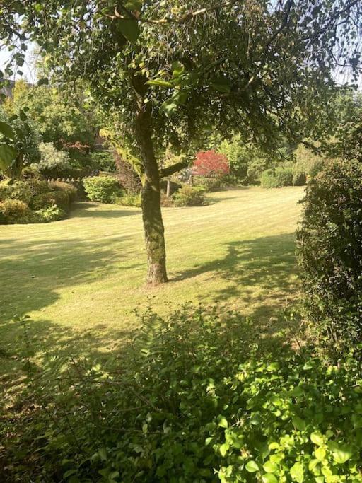 Rosebank Cottage With Log Burner And Hot Tub Alexandria Exterior photo